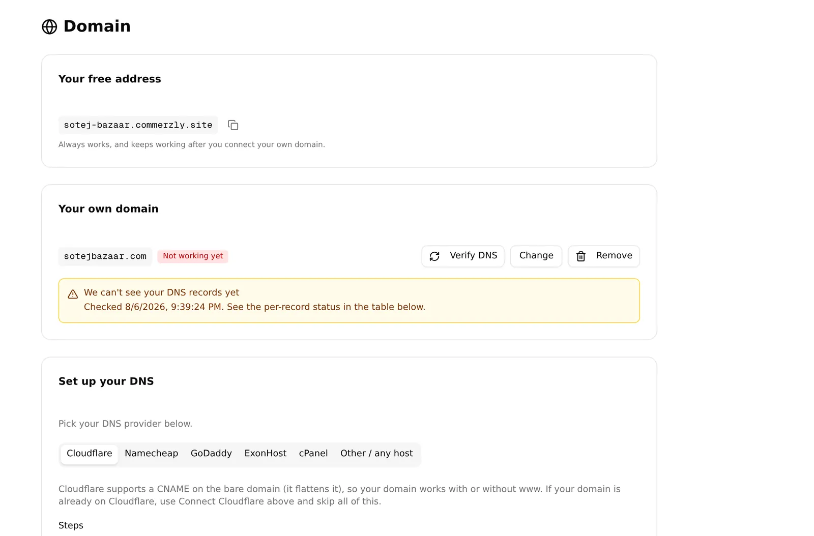 The domain page, showing the free address and the custom-domain setup